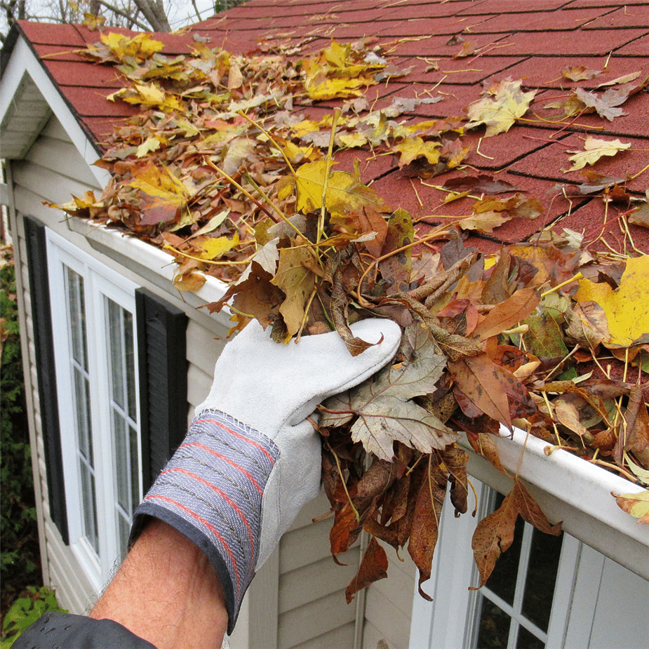 A person cleaning gutters for winter preparation