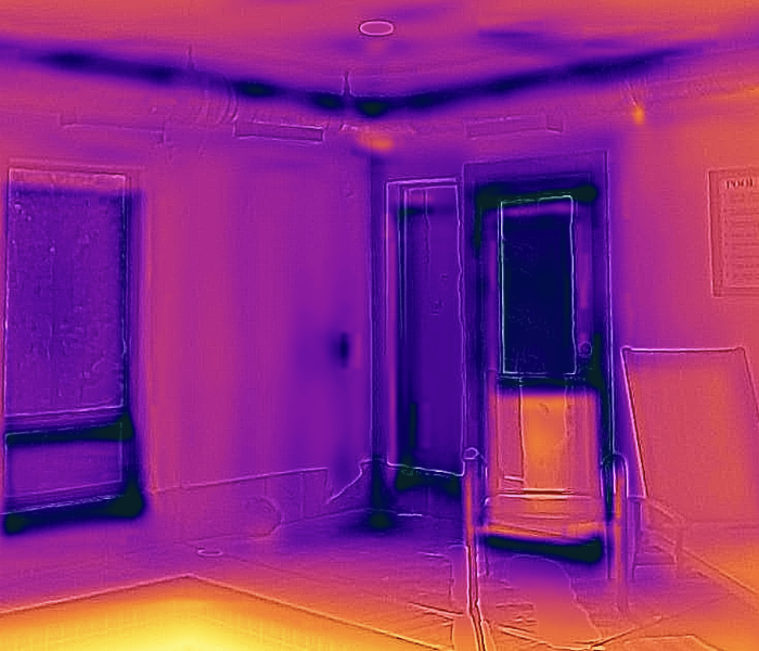 Infrared Image of Water Loss